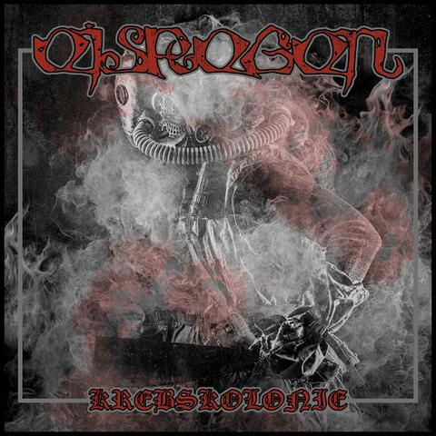Krebskolonie album art