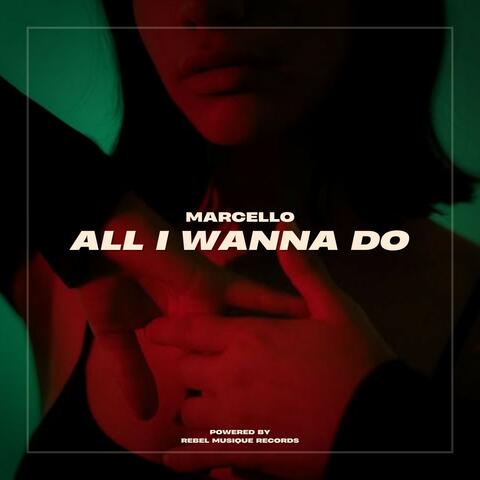 All I Wanna Do album art