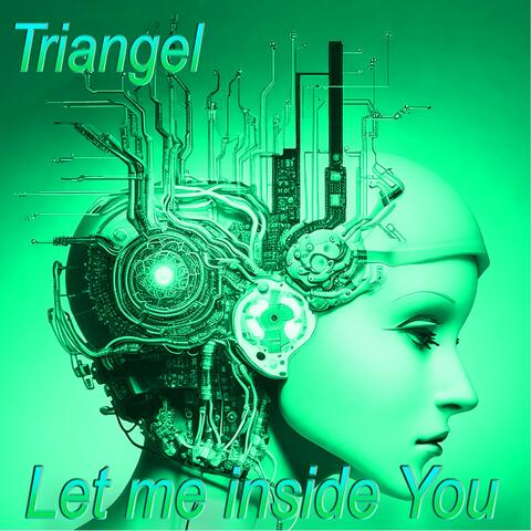 Let Me Inside You album art