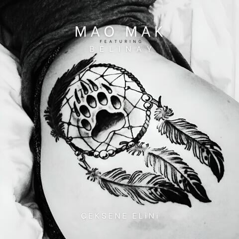 Ceksene Elini album art