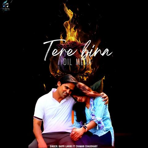 Tere Bina Dil Mera album art