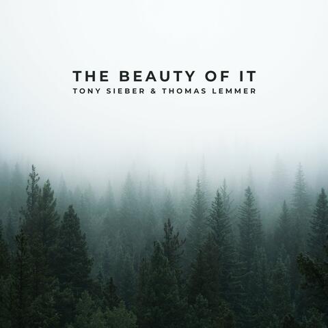 The Beauty of It album art