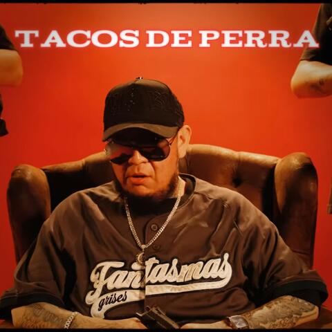 Tacos de Perra album art