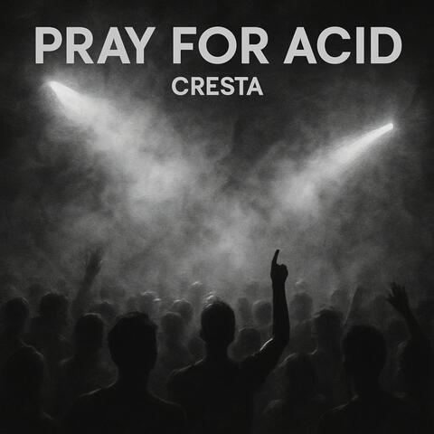 Pray for Acid album art