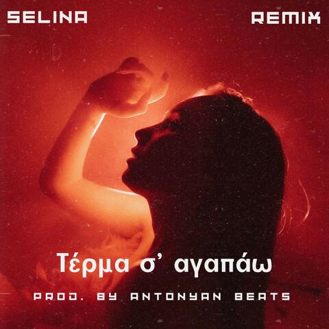 Τέρμα σ' αγαπάω album art