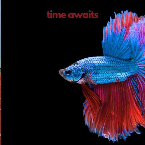Time Awaits album art