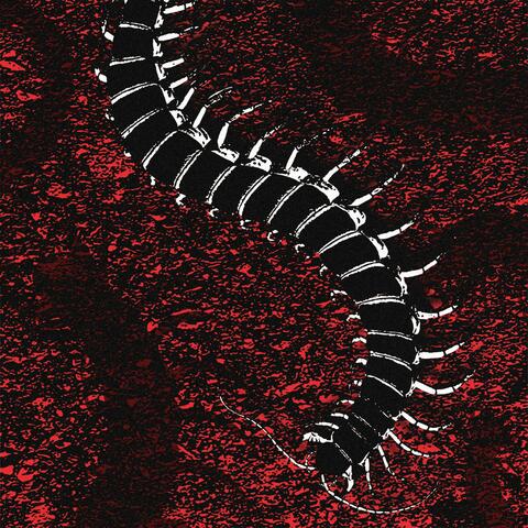 Tausendfüßler album art