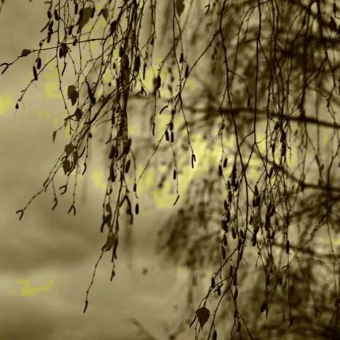 Incorrigible album art