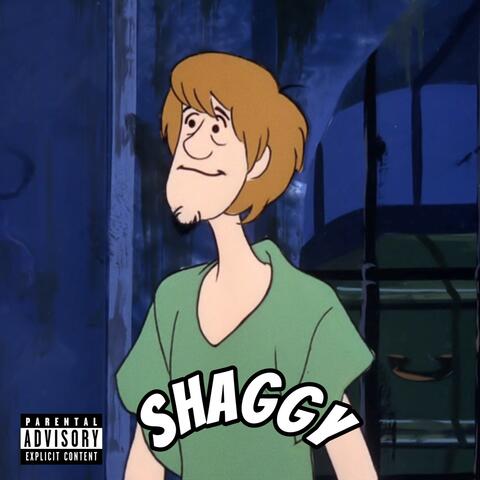 Shaggy album art