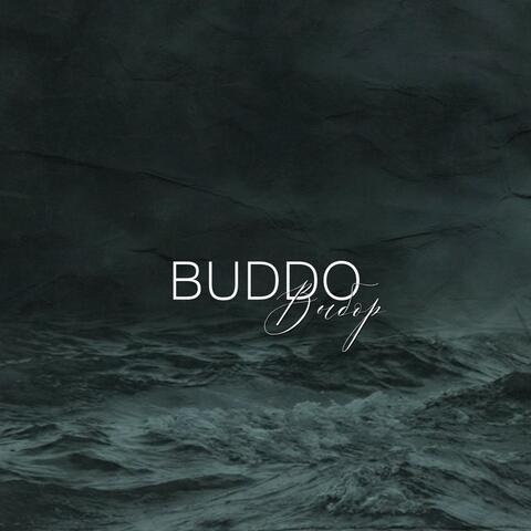 Выбор album art