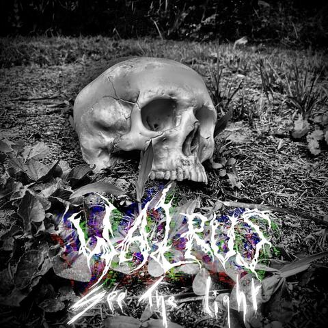 See the Light album art