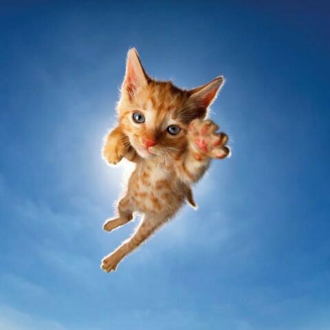 Бидоны album art