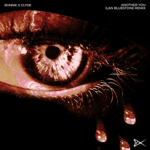Another You (Ilan Bluestone Remix) album art