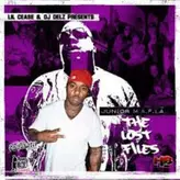Image of The Lost Files