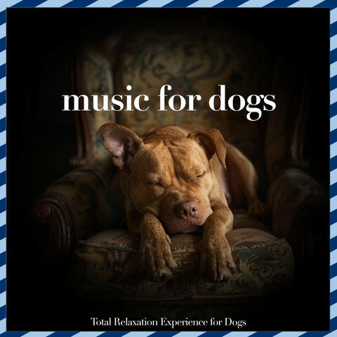 Music For Dogs: Total Relaxation Experience for Dogs album art