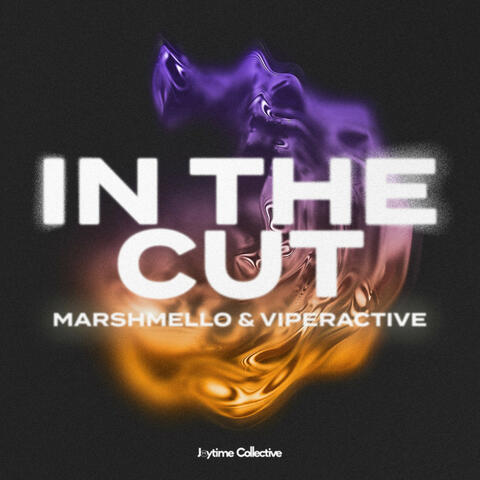 In The Cut album art