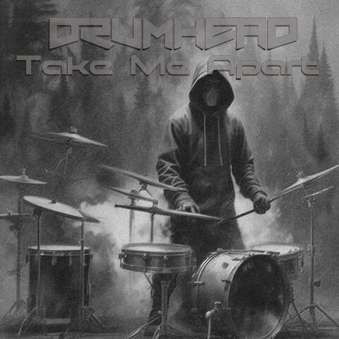 Take Me Apart album art