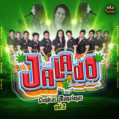 Cumbias Mamalonas Vol. 2 album art