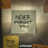 Image of Never Forget You