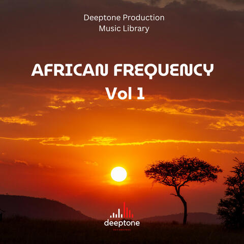 African Frequency Vol 1 album art