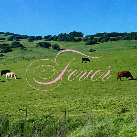 fever album art