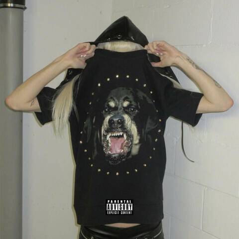 INSOMNIA2 album art
