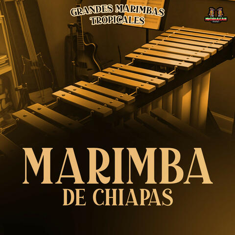 Grandes Marimbas Tropicales album art
