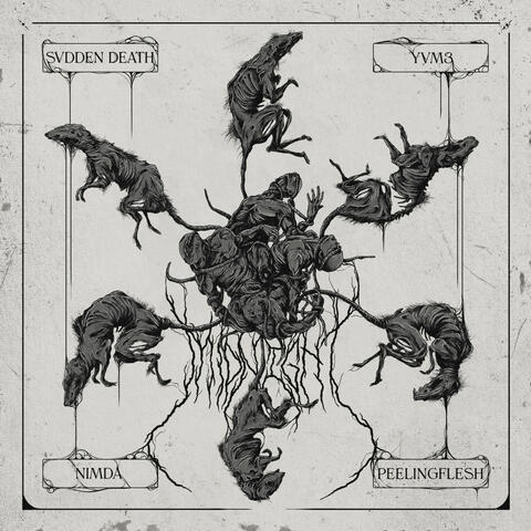 Midnight album art