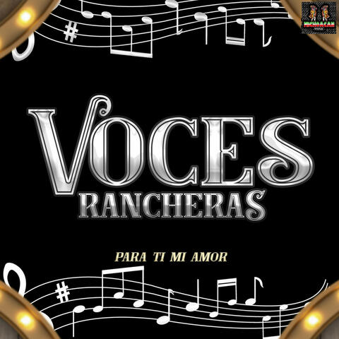 Para Ti Mi Amor album art