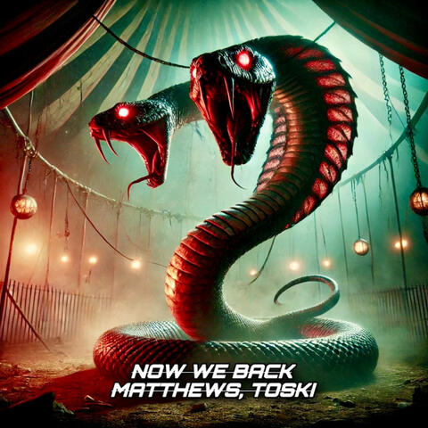 Now We Back album art