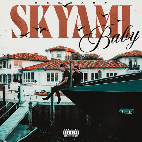 Skyami Baby album art