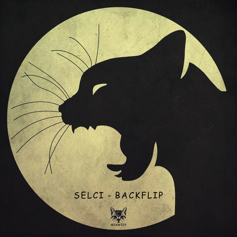 Backflip album art