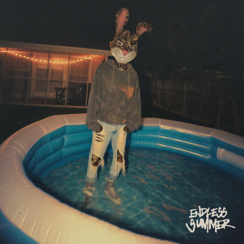 endless summer album art