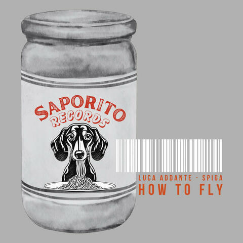 How To Fly album art