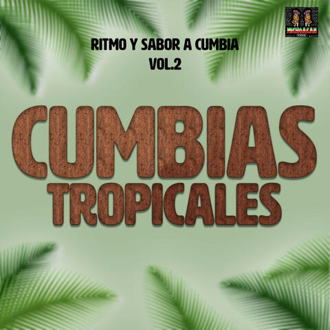 Ritmo Y Sabor A Cumbia Vol. 2 album art