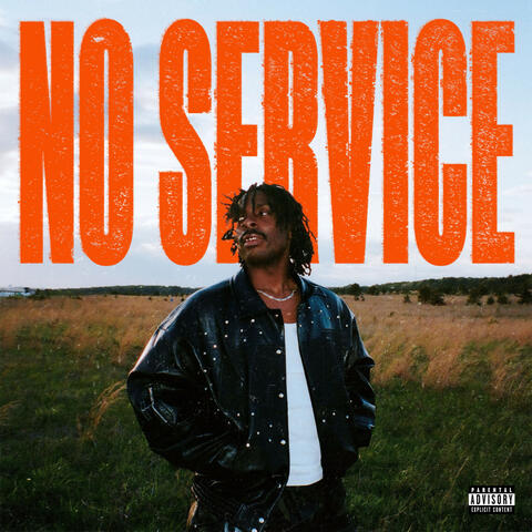 no service album art