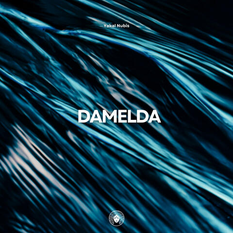 Damelda album art