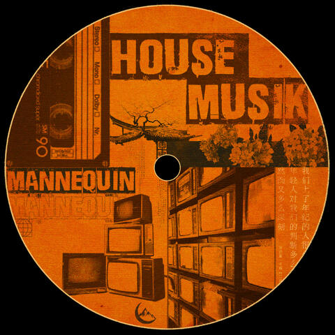 HOUSE MUSIK album art