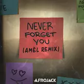 Image of Never Forget You - Amél Remix