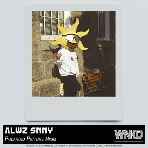 Polaroid Picture Mixes album art