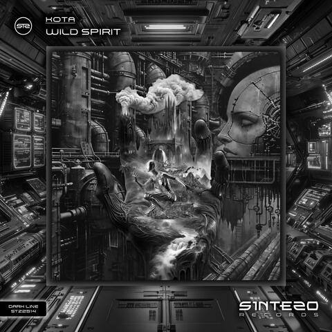 Wild Spirit album art