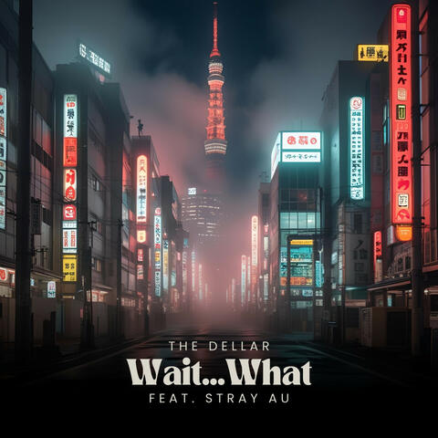 Wait...What (feat. stray AU) album art