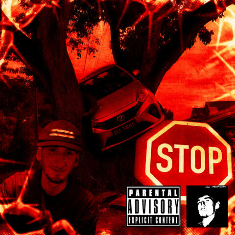 STANDARD album art