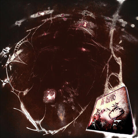 BUG WEAPONS DX album art