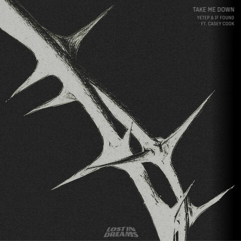 Take Me Down (feat. Casey Cook) album art