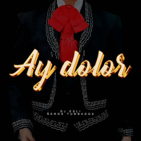 Ay Dolor (Guaracha Mix) album art