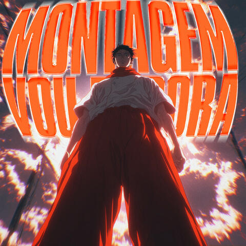 MONTAGEM VOU EMBORA album art