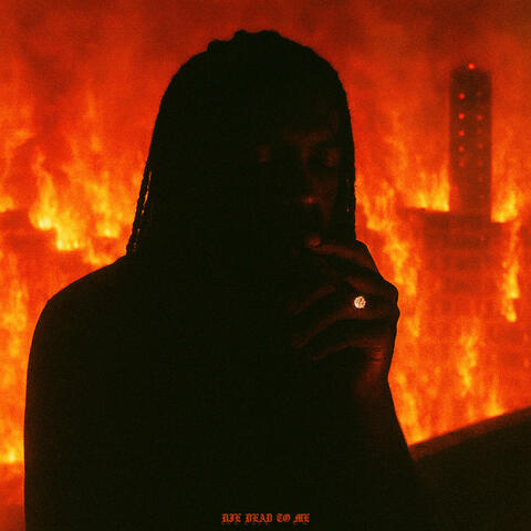 die dead to me (a void) album art