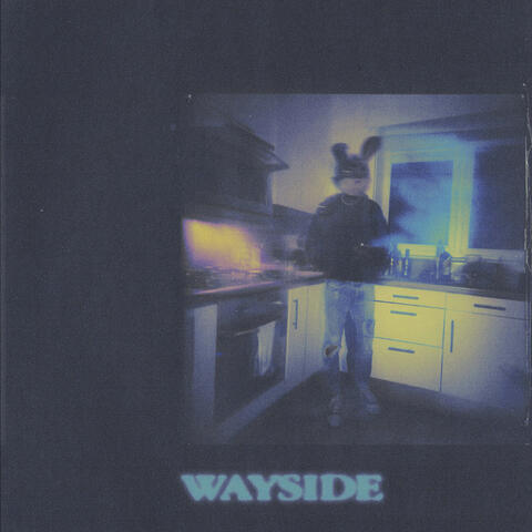 wayside album art