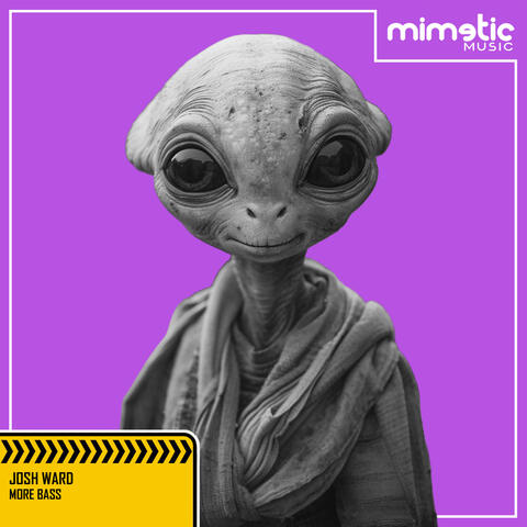 More Bass album art
